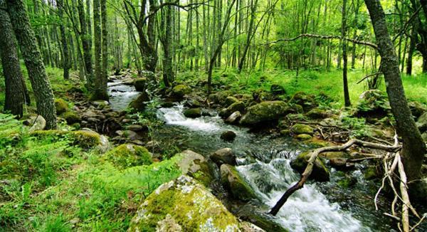 Casa Ruralrut En El Tiemblo A 1 Hora De Madrid Y A Pocos Minutos Del Castanar, Valle De Iruelas Y Embalses Exterior foto