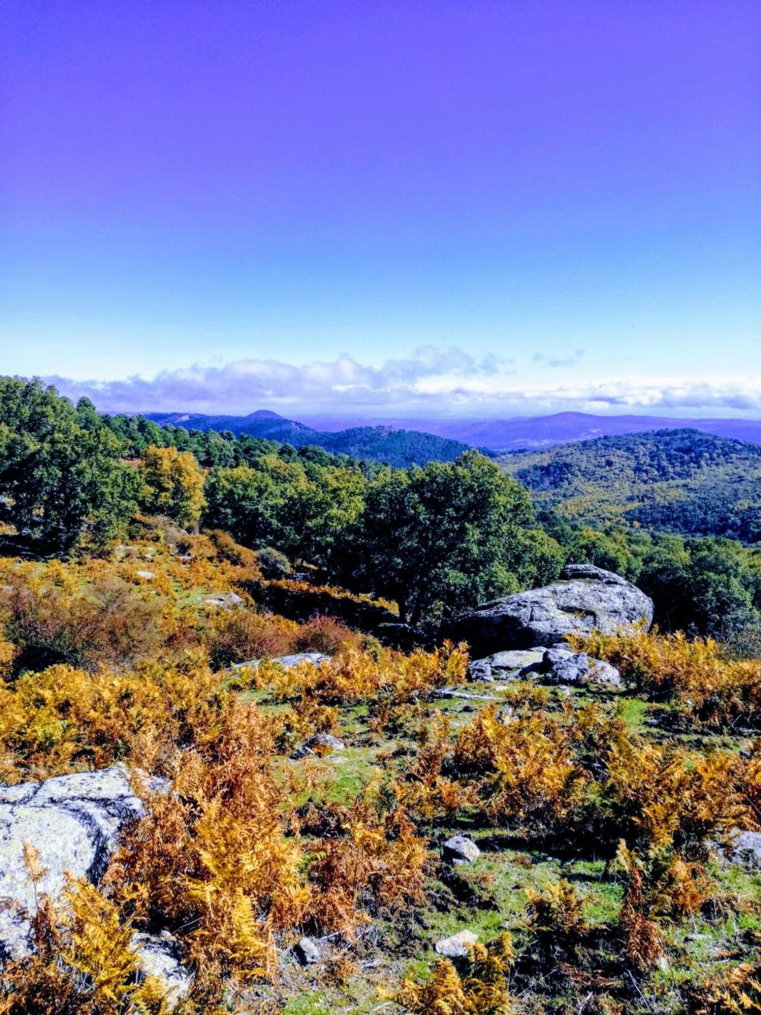Casa Ruralrut En El Tiemblo A 1 Hora De Madrid Y A Pocos Minutos Del Castanar, Valle De Iruelas Y Embalses Exterior foto